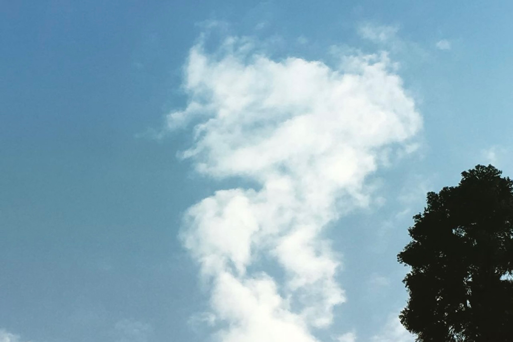 kumo